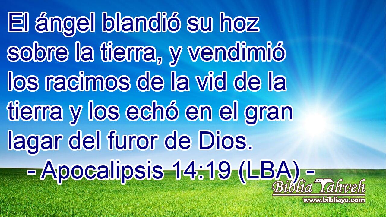 El ángel blandió su hoz sobre la tierra, y vendimió los racimos de la vid de la tierra y los echó en el gran lagar del furor de Dios.