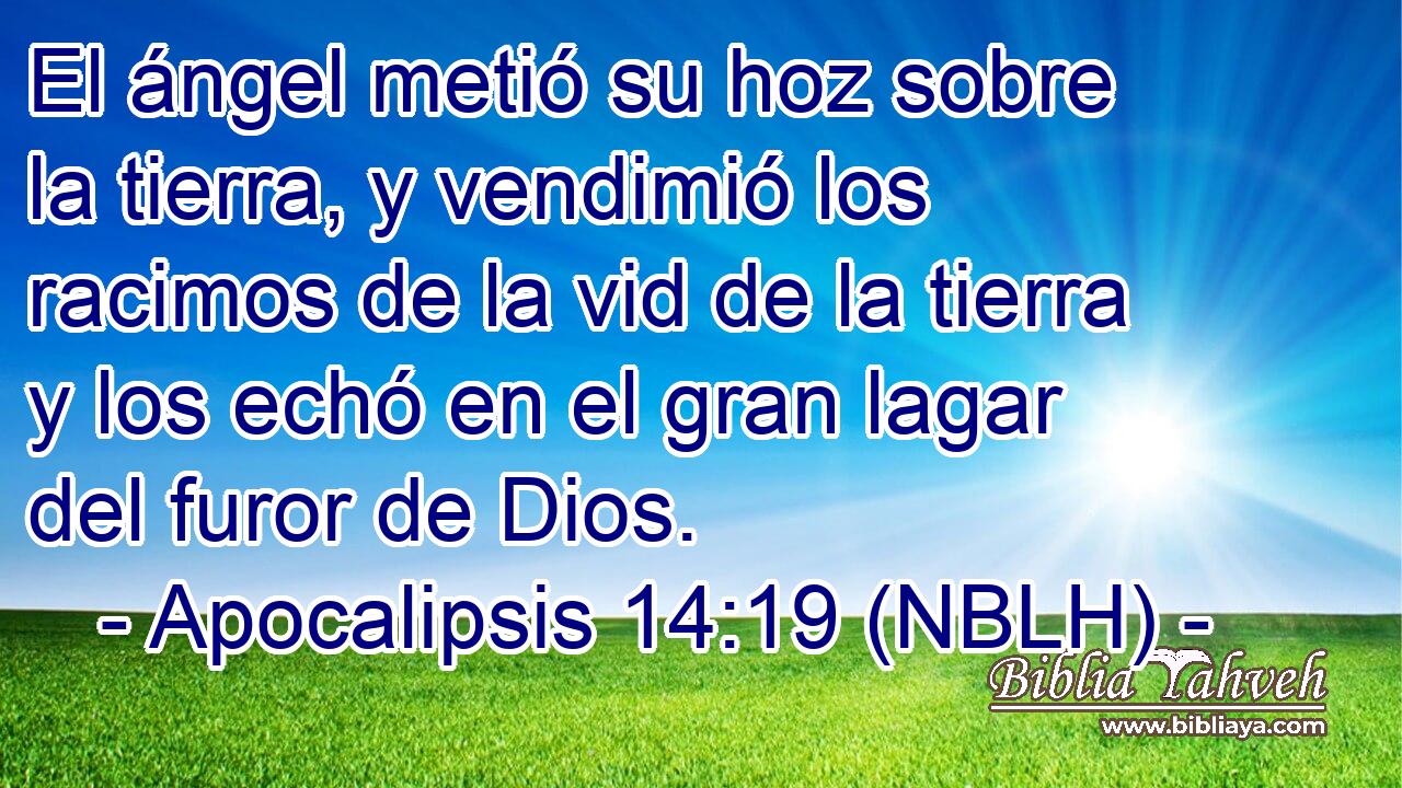  El ángel metió su hoz sobre la tierra, y vendimió los racimos de la vid de la tierra y los echó en el gran lagar del furor de Dios. 