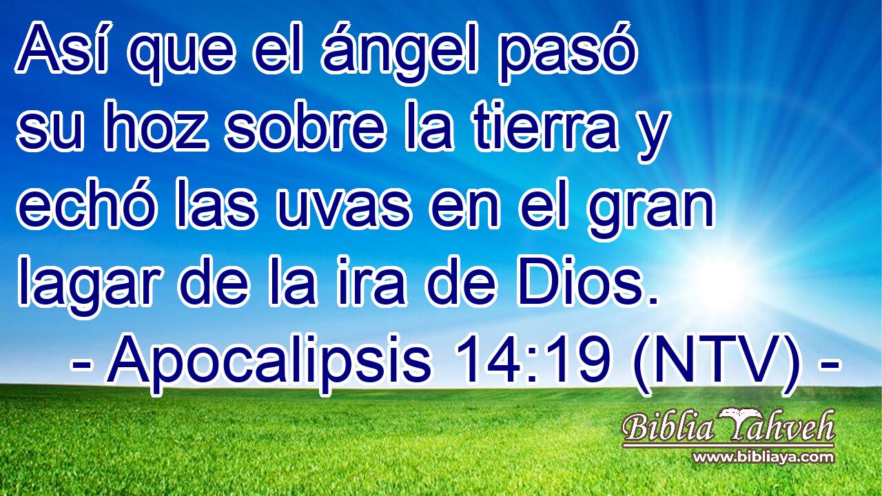 Así que el ángel pasó su hoz sobre la tierra y echó las uvas en el gran lagar de la ira de Dios.