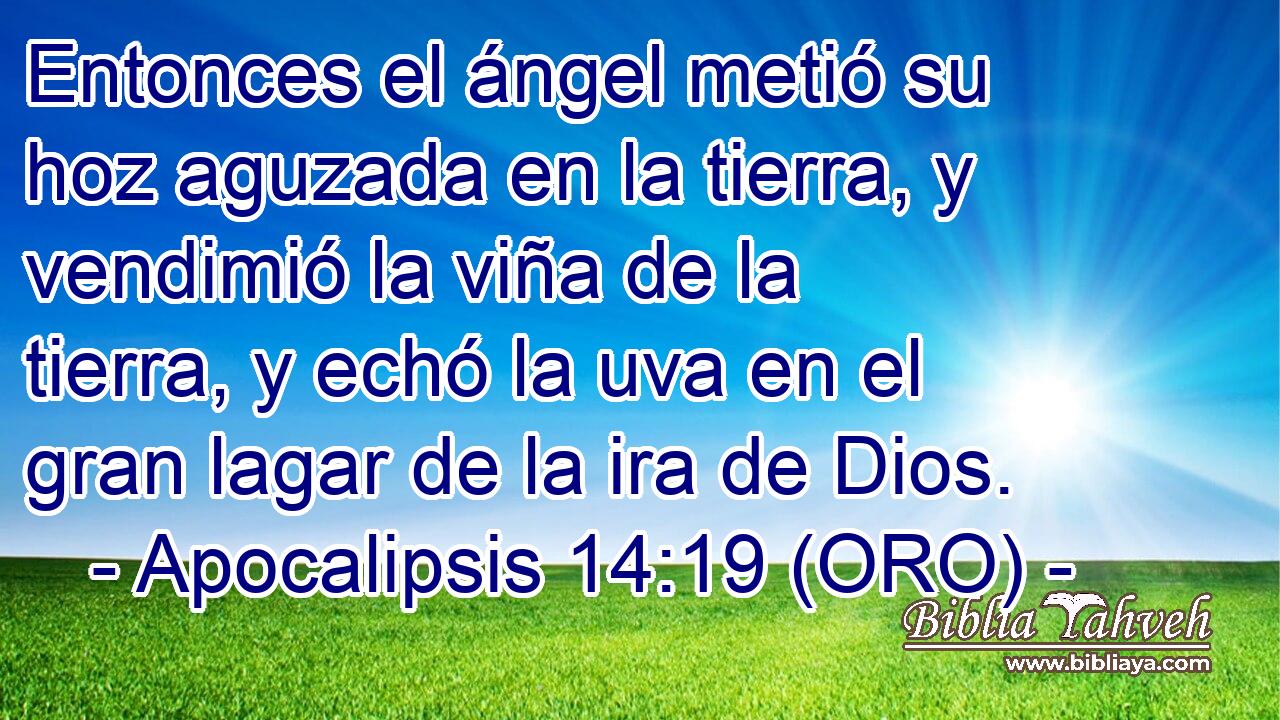  Entonces el ángel metió su hoz aguzada en la tierra, y vendimió la viña de la tierra, y echó la uva en el gran lagar de la ira de Dios. 