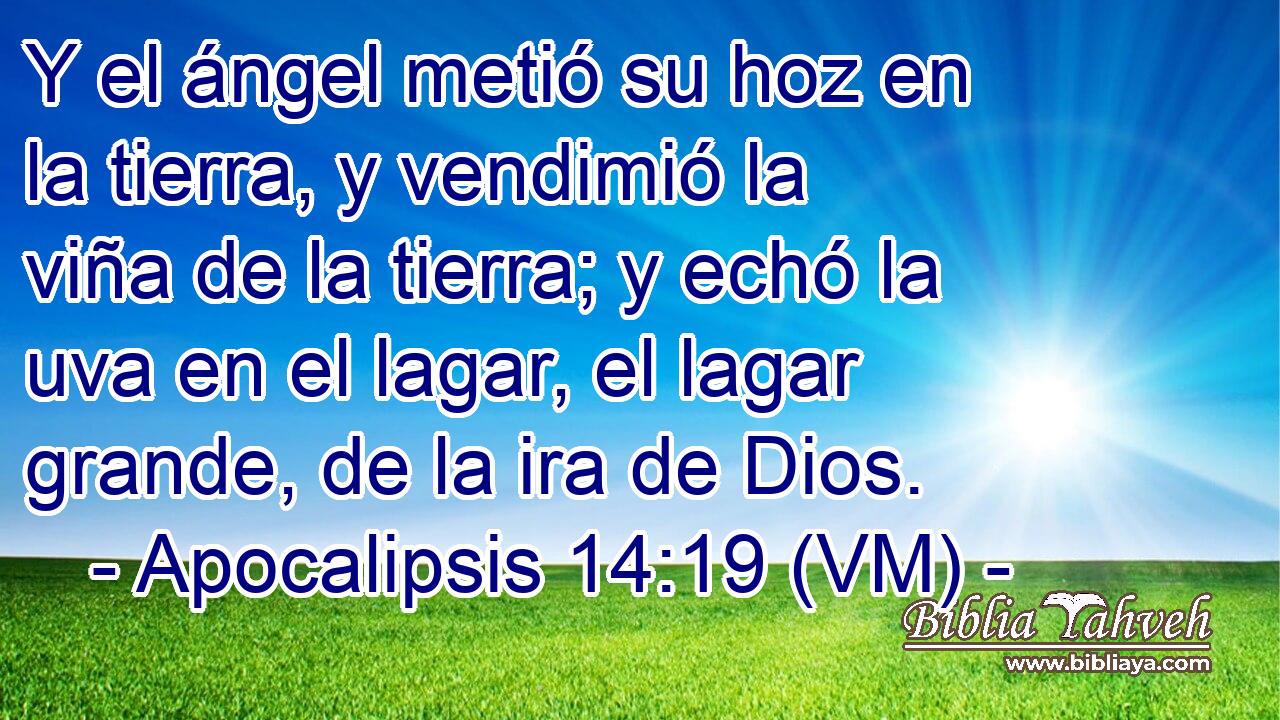  Y el ángel metió su hoz en la tierra, y vendimió la viña de la tierra; y echó la uva en el lagar, el lagar  grande, de la ira de Dios. 