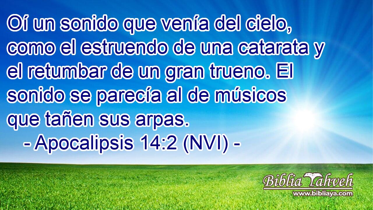  Oí un sonido que venía del cielo, como el estruendo de una catarata y el retumbar de un gran trueno. El sonido se parecía al de músicos que tañen sus arpas. 