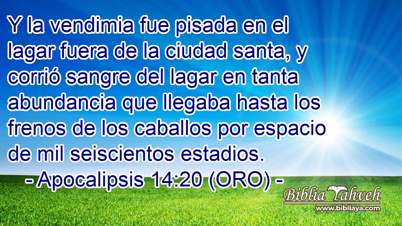  Y la vendimia fue pisada en el lagar fuera de la ciudad santa, y corrió sangre del lagar en tanta abundancia que llegaba hasta los frenos de los caballos por espacio de mil seiscientos estadios. 