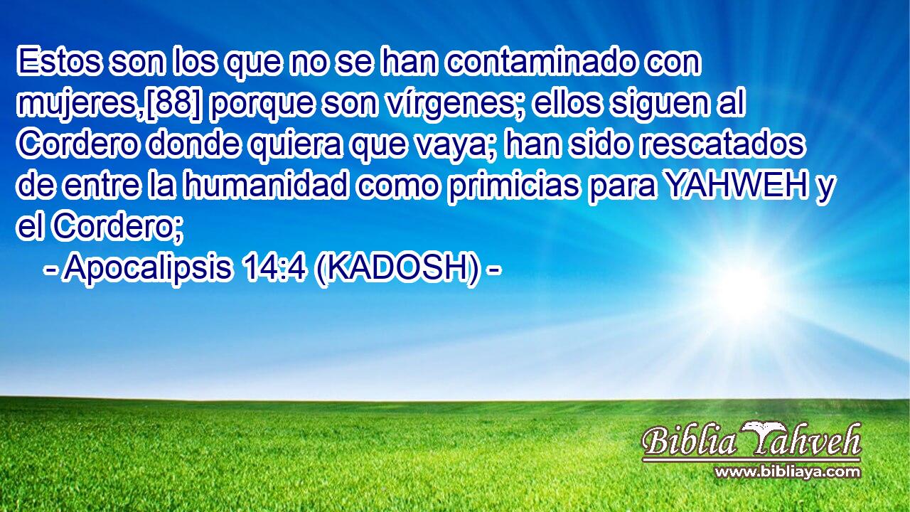  Estos son los que no se han contaminado con mujeres,[88] porque son vírgenes; ellos siguen al Cordero donde quiera que vaya; han sido rescatados de entre la humanidad como primicias para YAHWEH y el Cordero; 