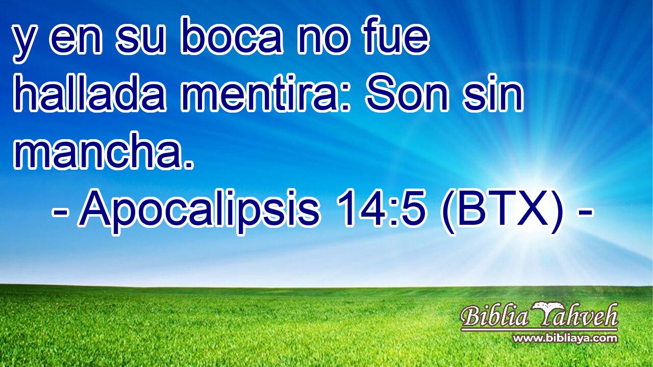 y en su boca no fue hallada mentira: Son sin mancha.
