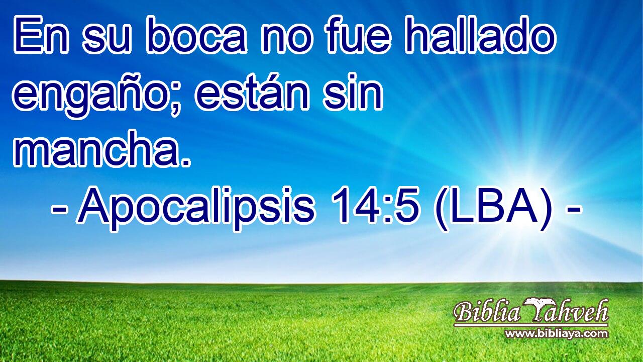 En su boca no fue hallado engaño; están sin mancha.