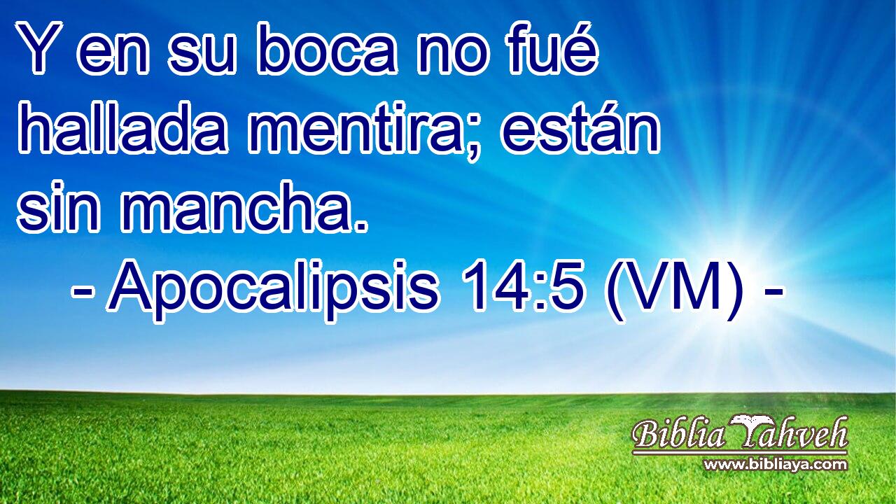  Y en su boca no fué hallada mentira; están sin mancha. 