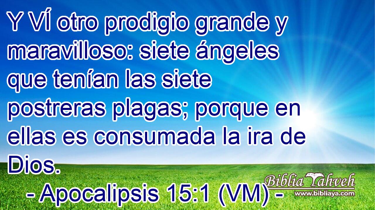  Y VÍ otro prodigio grande y maravilloso: siete ángeles que tenían las siete postreras plagas; porque en ellas es consumada la ira de Dios. 