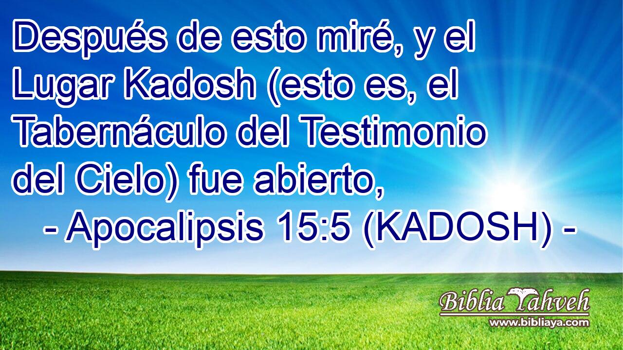  Después de esto miré, y el Lugar Kadosh (esto es, el Tabernáculo del Testimonio del Cielo) fue abierto, 