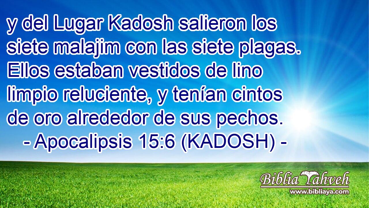  y del Lugar Kadosh salieron los siete malajim con las siete plagas. Ellos estaban vestidos de lino limpio reluciente, y tenían cintos de oro alrededor de sus pechos. 