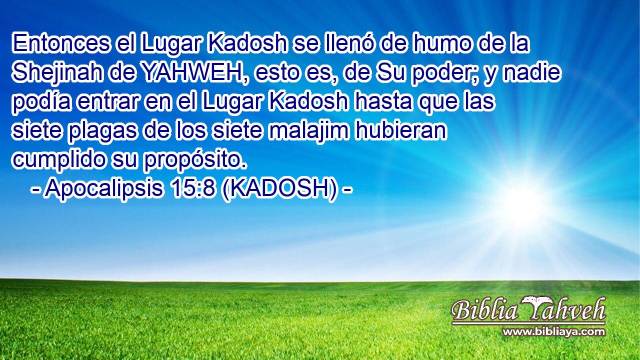  Entonces el Lugar Kadosh se llenó de humo de la Shejinah de YAHWEH, esto es, de Su poder; y nadie podía entrar en el Lugar Kadosh hasta que las siete plagas de los siete malajim hubieran cumplido su propósito. 
