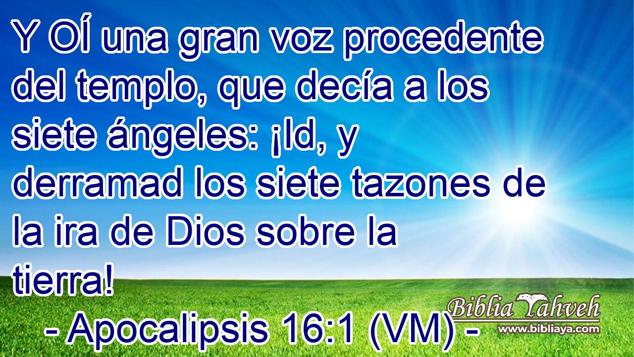  Y OÍ una gran voz procedente del templo, que decía a los siete ángeles: ¡Id, y derramad los siete tazones de la ira de Dios sobre la tierra! 