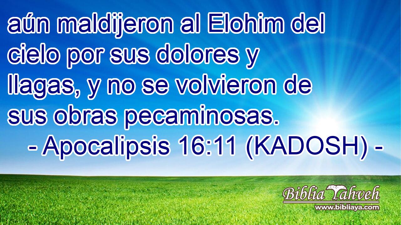  aún maldijeron al Elohim del cielo por sus dolores y llagas, y no se volvieron de sus obras pecaminosas. 