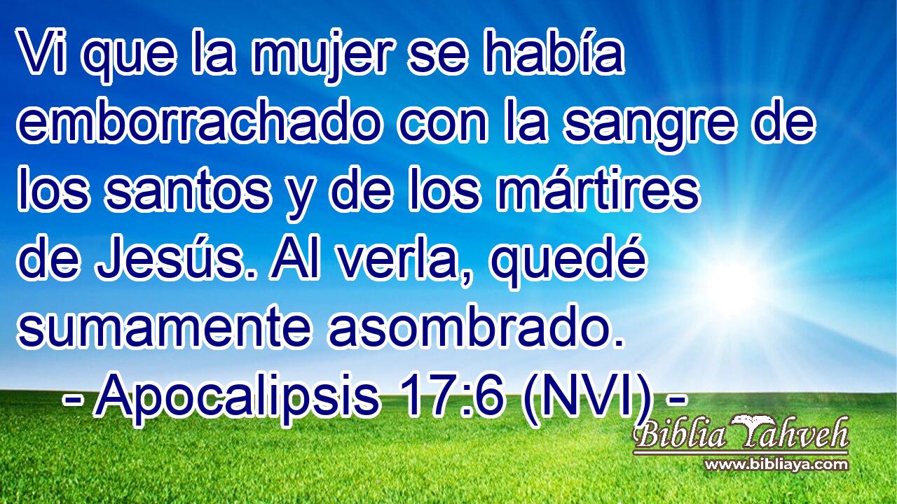  Vi que la mujer se había emborrachado con la sangre de los santos y de los mártires de Jesús. Al verla, quedé sumamente asombrado. 