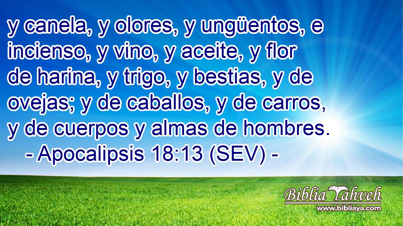 y canela, y olores, y ungüentos, e incienso, y vino, y aceite, y flor de harina, y trigo, y bestias, y de ovejas; y de caballos, y de carros, y de cuerpos y almas de hombres.