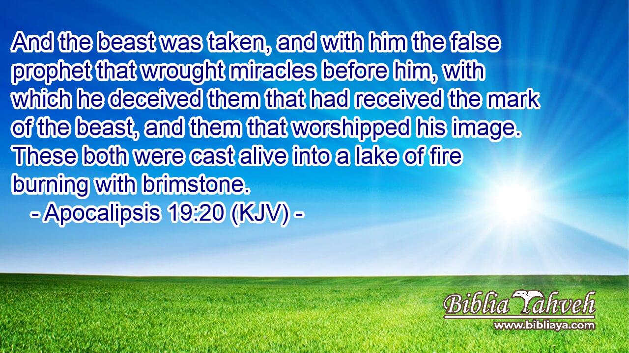 And the beast was taken, and with him the false prophet that wrought miracles before him, with which he deceived them that had received the mark of the beast, and them that worshipped his image. These both were cast alive into a lake of fire burning with brimstone.