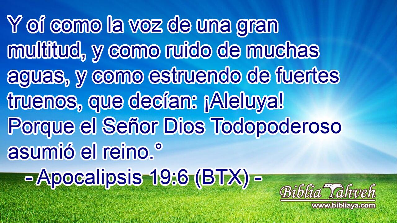 Y oí como la voz de una gran multitud, y como ruido de muchas aguas, y como estruendo de fuertes truenos, que decían: ¡Aleluya! Porque el Señor Dios Todopoderoso asumió el reino.°