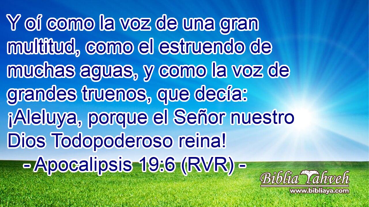 Y oí como la voz de una gran multitud, como el estruendo de muchas aguas, y como la voz de grandes truenos, que decía: ¡Aleluya, porque el Señor nuestro Dios Todopoderoso reina!