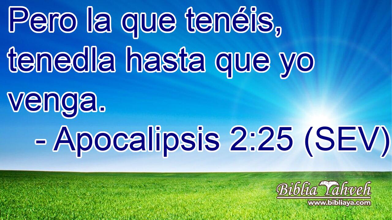 Pero la que tenéis, tenedla hasta que yo venga.
