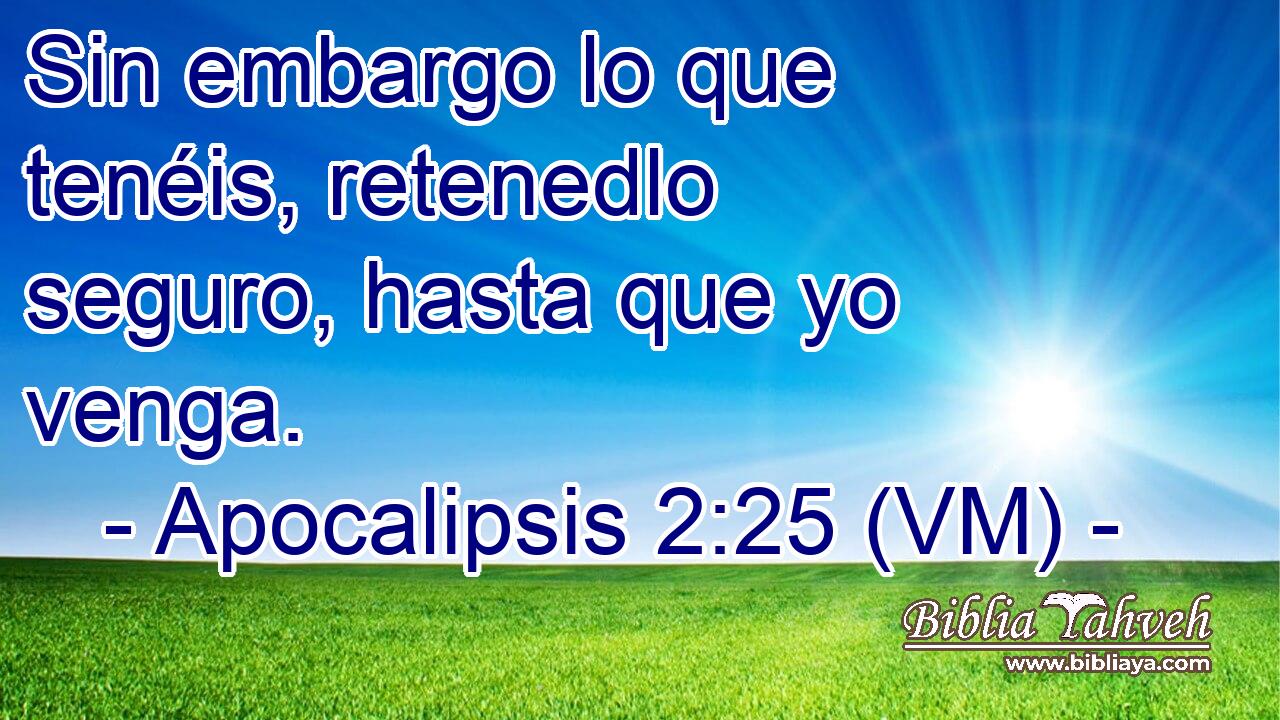  Sin embargo lo que tenéis, retenedlo seguro, hasta que yo venga. 