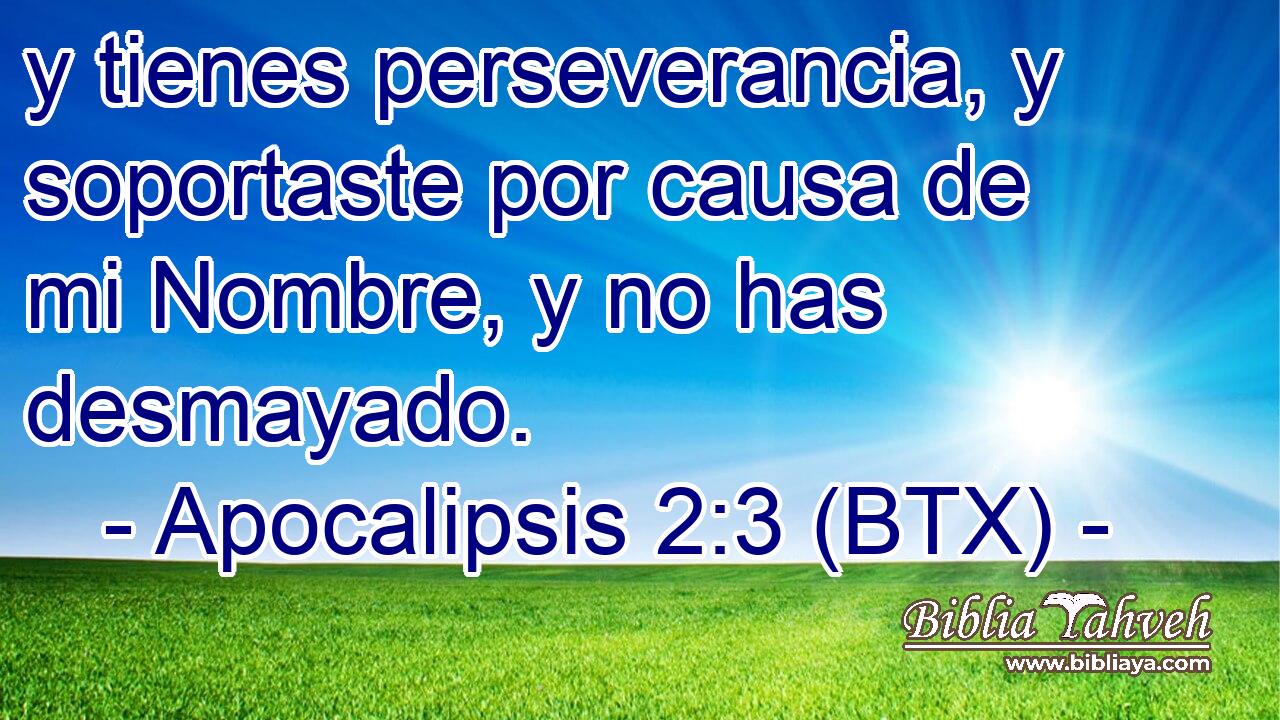 y tienes perseverancia, y soportaste por causa de mi Nombre, y no has desmayado.