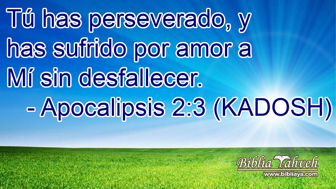  Tú has perseverado, y has sufrido por amor a Mí sin desfallecer. 
