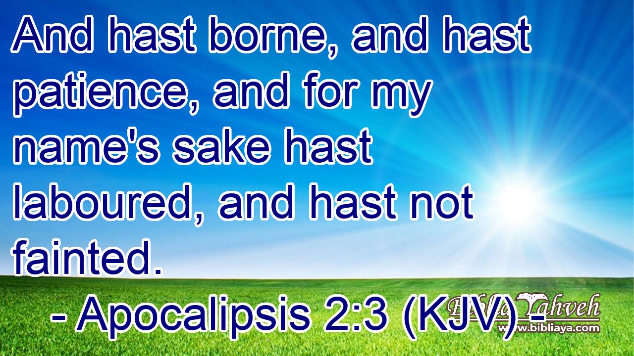 And hast borne, and hast patience, and for my name's sake hast laboured, and hast not fainted.