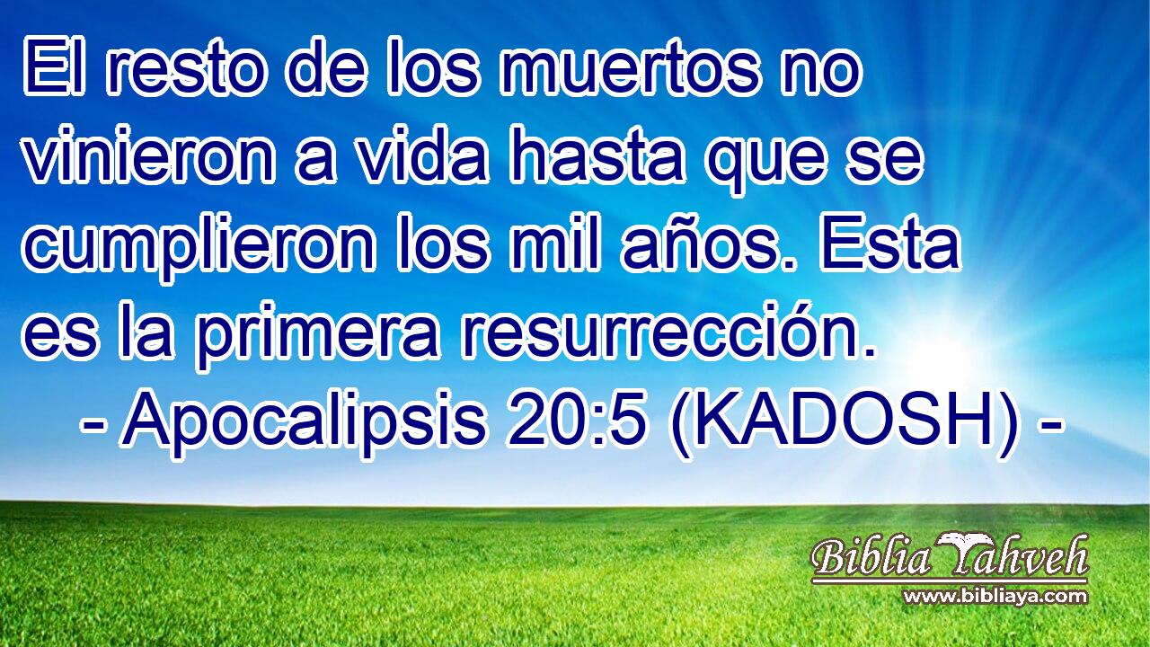  El resto de los muertos no vinieron a vida hasta que se cumplieron los mil años. Esta es la primera resurrección. 