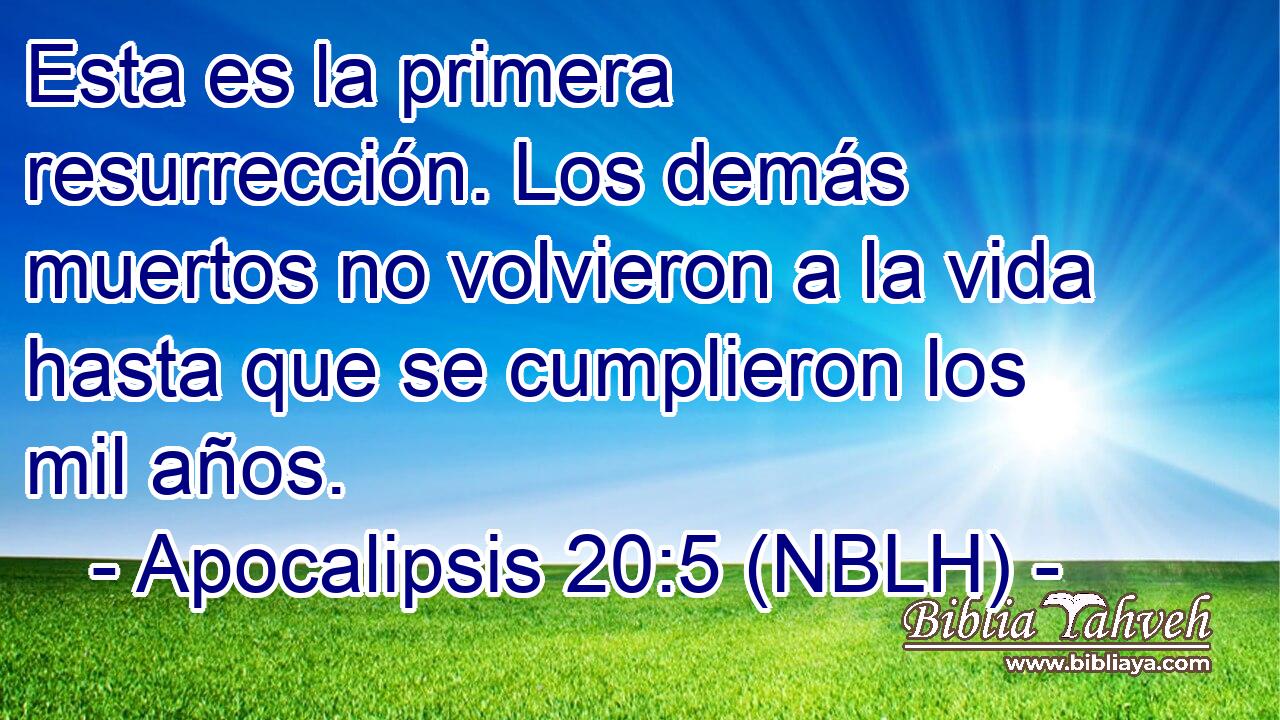  Esta es la primera resurrección. Los demás muertos no volvieron a la vida hasta que se cumplieron los mil años. 