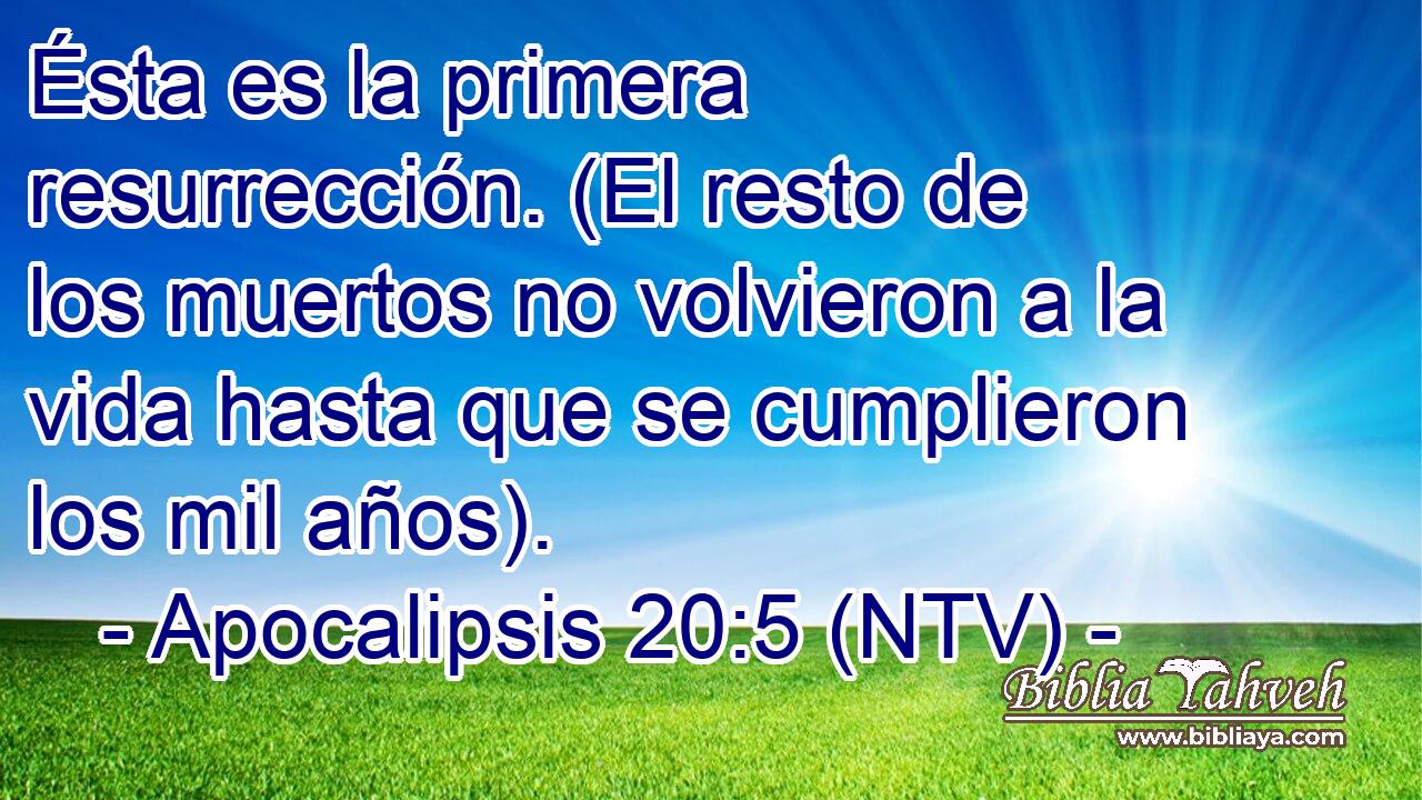 Ésta es la primera resurrección. (El resto de los muertos no volvieron a la vida hasta que se cumplieron los mil años).