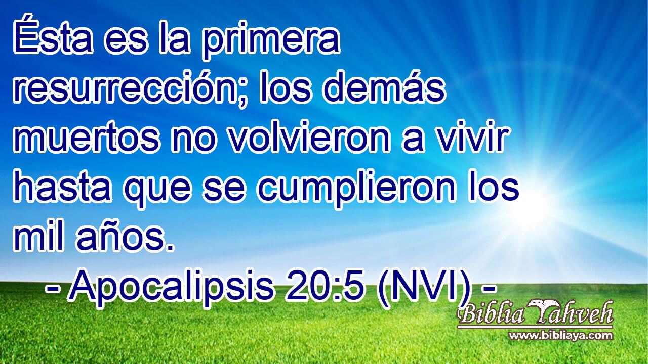  Ésta es la primera resurrección; los demás muertos no volvieron a vivir hasta que se cumplieron los mil años. 