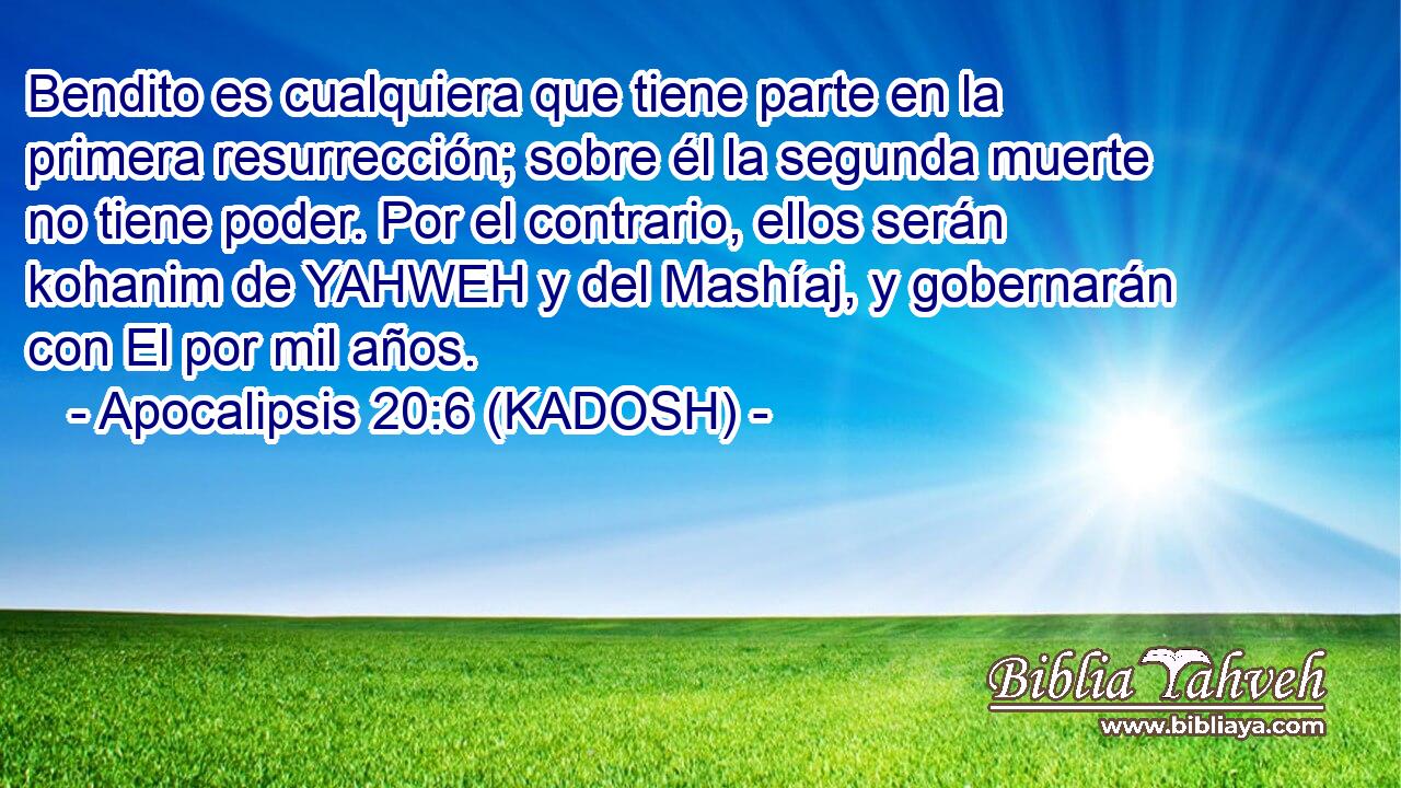  Bendito es cualquiera que tiene parte en la primera resurrección; sobre él la segunda muerte no tiene poder. Por el contrario, ellos serán kohanim de YAHWEH y del Mashíaj, y gobernarán con El por mil años. 