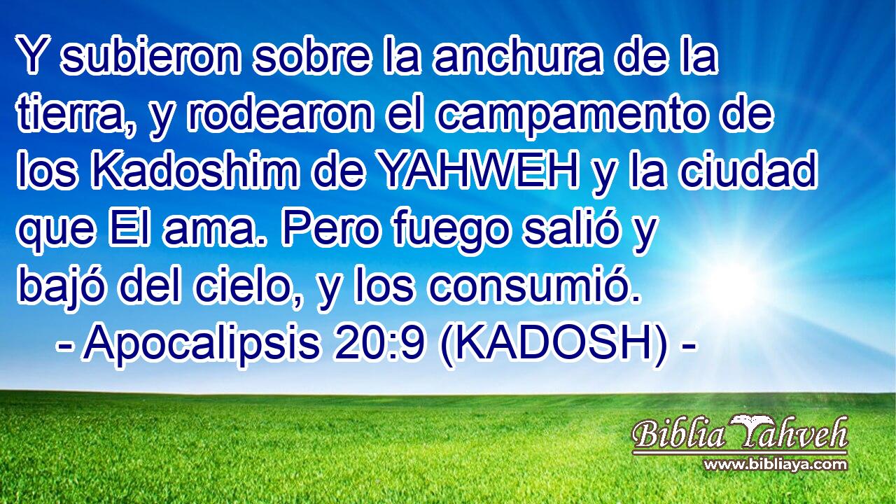  Y subieron sobre la anchura de la tierra, y rodearon el campamento de los Kadoshim de YAHWEH y la ciudad que El ama. Pero fuego salió y bajó del cielo, y los consumió. 