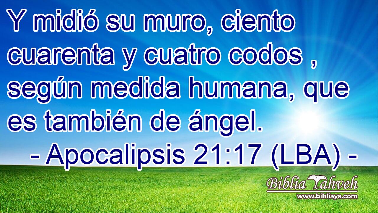 Y midió su muro, ciento cuarenta y cuatro codos , según medida humana, que es también de ángel.
