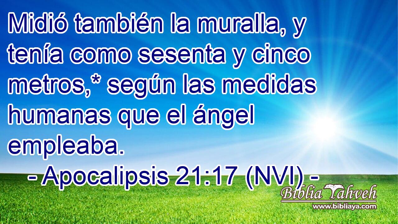  Midió también la muralla, y tenía como sesenta y cinco metros,* según las medidas humanas que el ángel empleaba. 