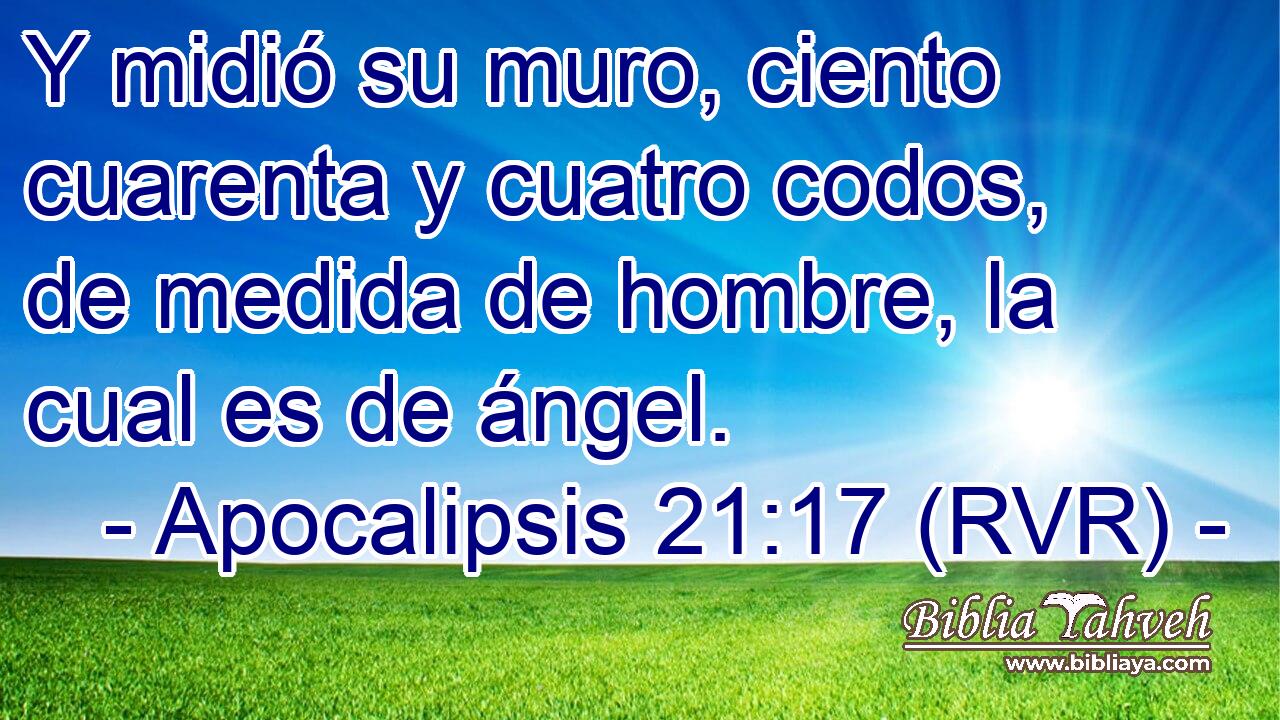Y midió su muro, ciento cuarenta y cuatro codos, de medida de hombre, la cual es de ángel.