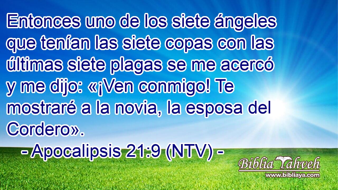 Entonces uno de los siete ángeles que tenían las siete copas con las últimas siete plagas se me acercó y me dijo: «¡Ven conmigo! Te mostraré a la novia, la esposa del Cordero».