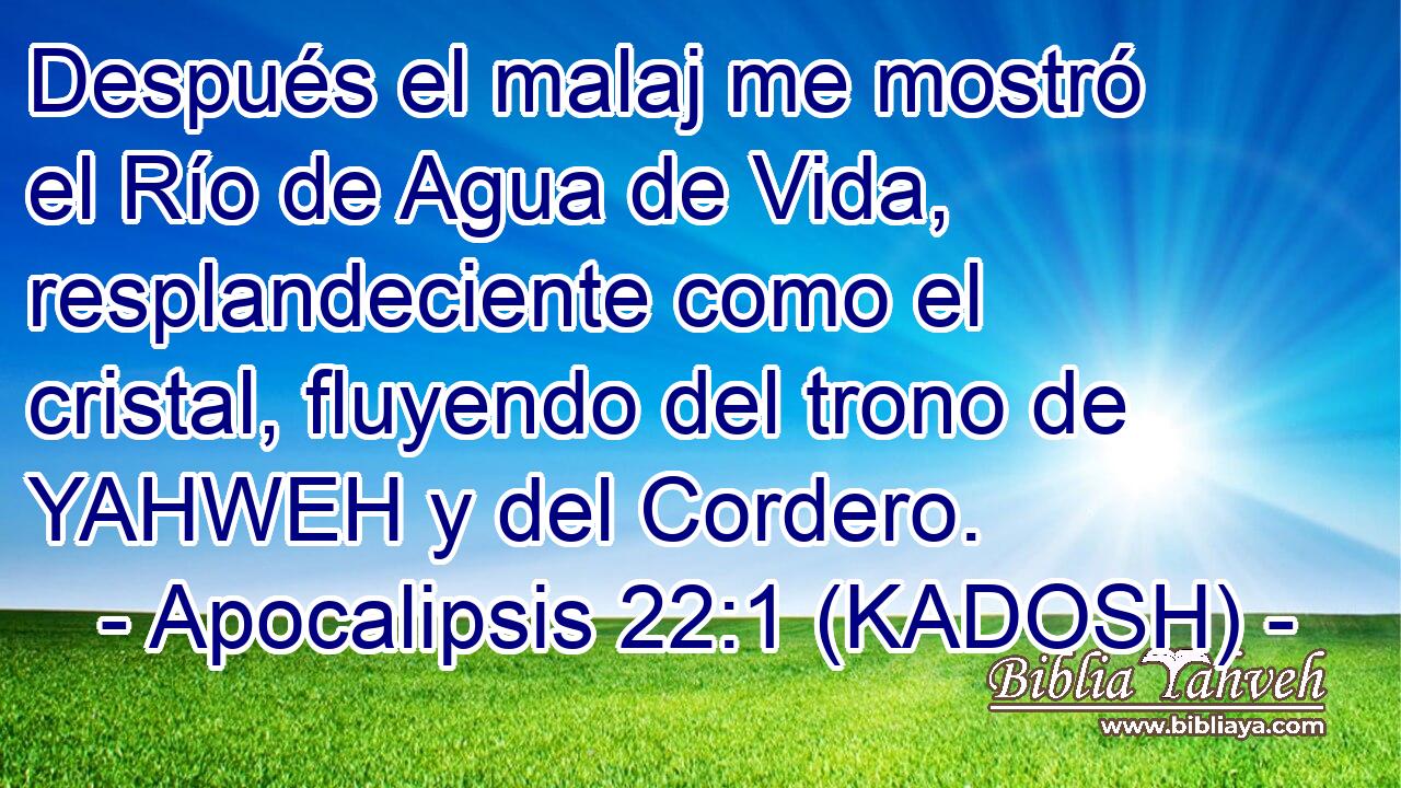  Después el malaj me mostró el Río de Agua de Vida, resplandeciente como el cristal, fluyendo del trono de YAHWEH y del Cordero. 
