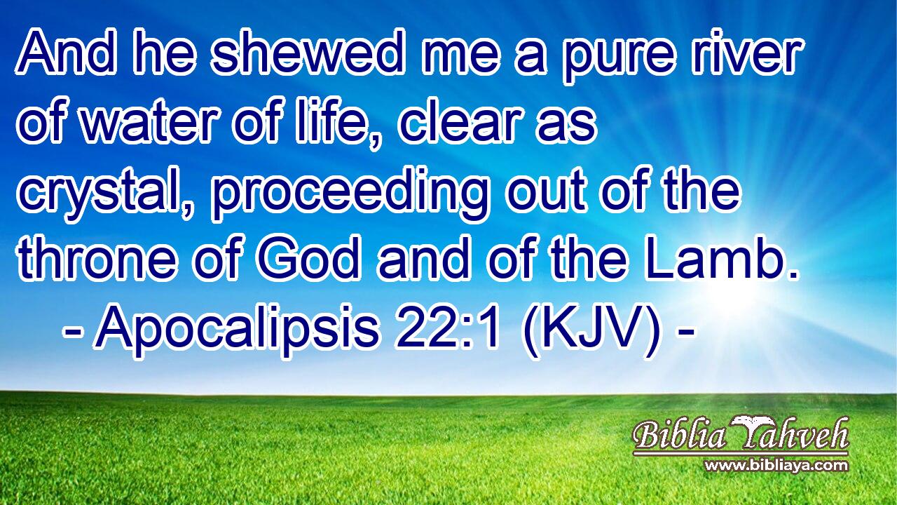 And he shewed me a pure river of water of life, clear as crystal, proceeding out of the throne of God and of the Lamb.