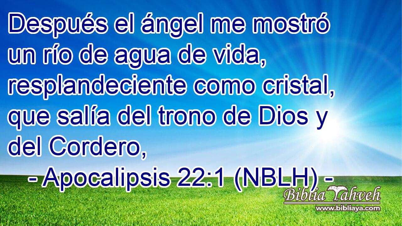  Después el ángel me mostró un río de agua de vida, resplandeciente como cristal, que salía del trono de Dios y del Cordero, 