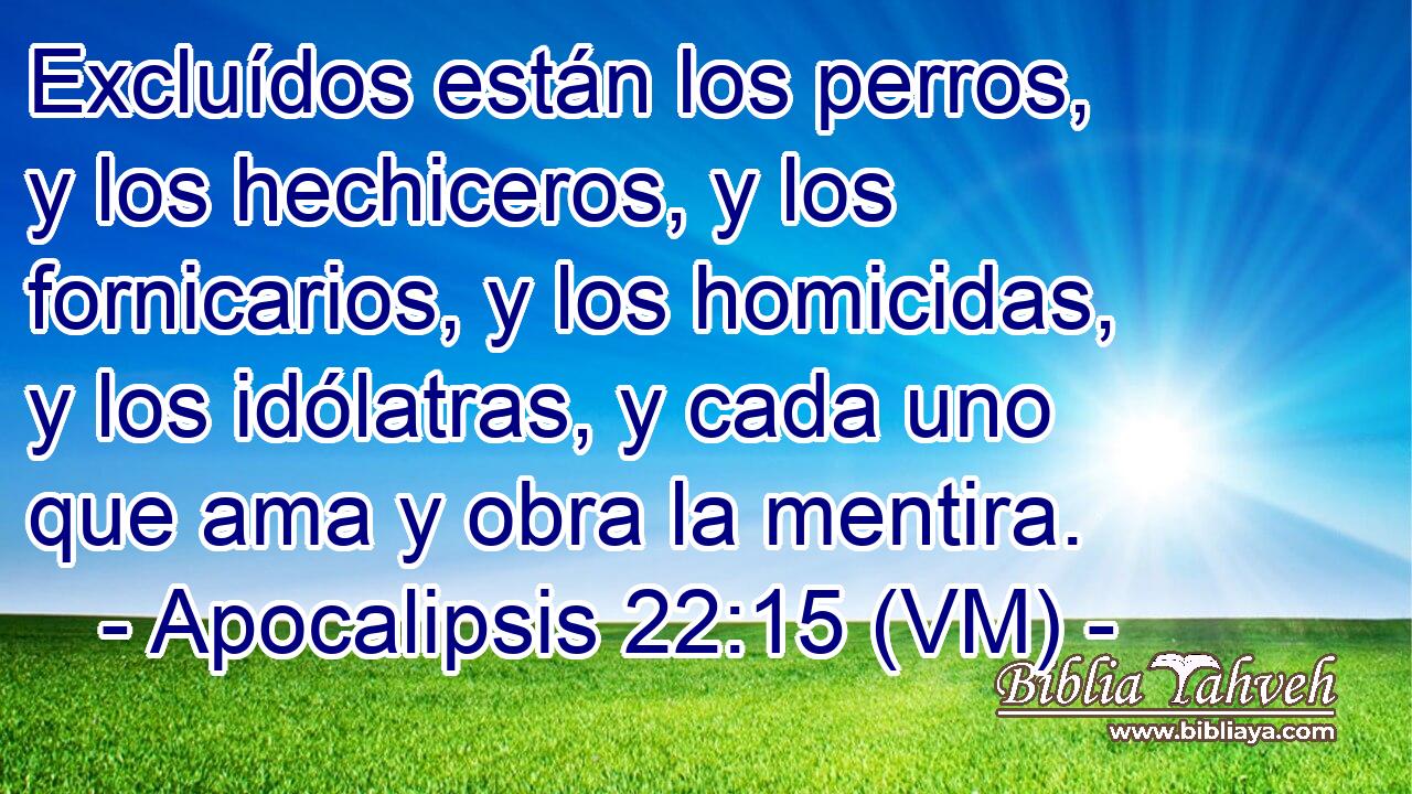  Excluídos están los perros, y los hechiceros, y los fornicarios, y los homicidas, y los idólatras, y cada uno que ama y obra la mentira. 