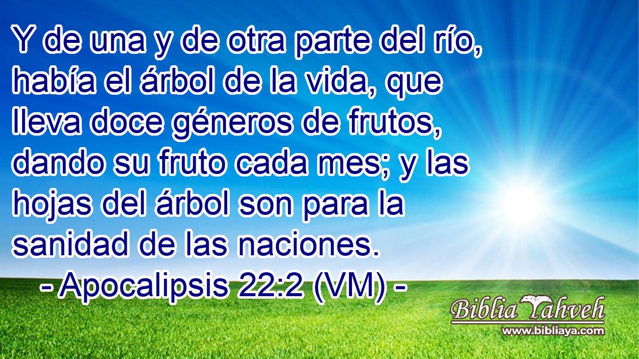  Y de una y de otra parte del río, había el árbol de la vida, que lleva doce géneros de frutos, dando su fruto cada mes; y las hojas del árbol son para la sanidad de las naciones. 
