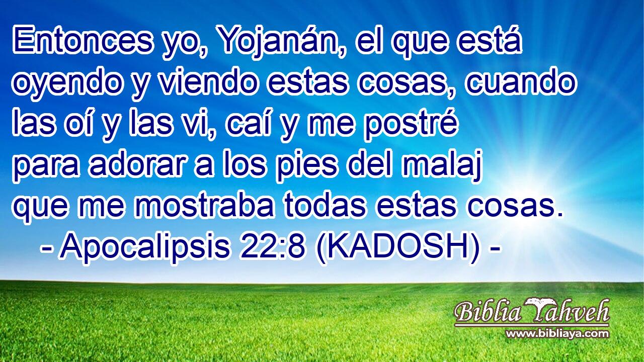  Entonces yo, Yojanán, el que está oyendo y viendo estas cosas, cuando las oí y las vi, caí y me postré para adorar a los pies del malaj que me mostraba todas estas cosas. 