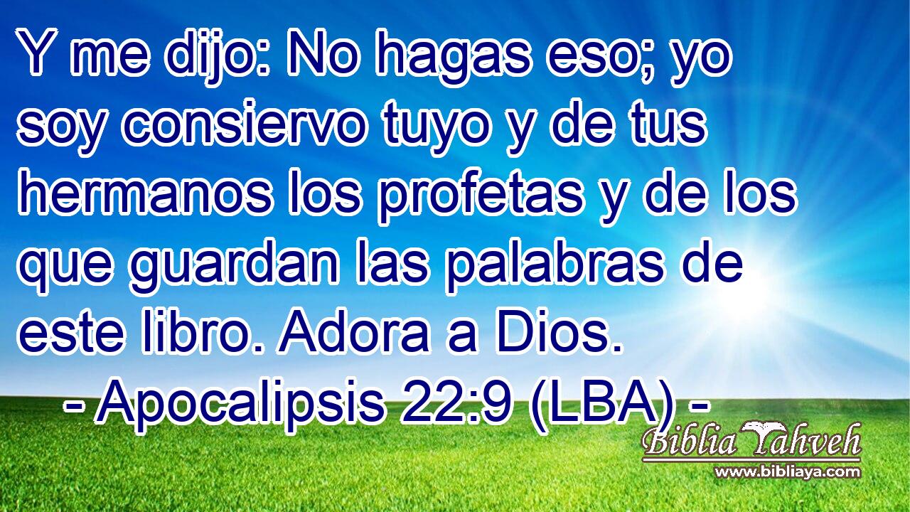 Y me dijo: No hagas eso; yo soy consiervo tuyo y de tus hermanos los profetas y de los que guardan las palabras de este libro. Adora a Dios.
