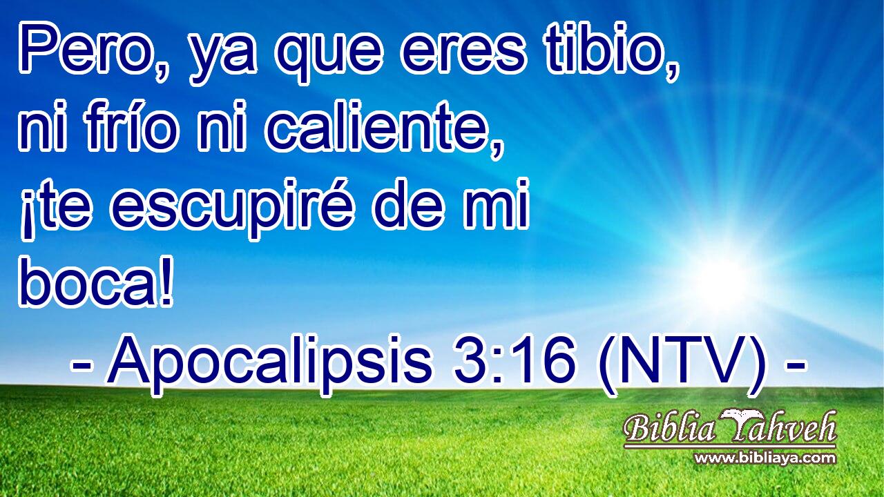 Pero, ya que eres tibio, ni frío ni caliente, ¡te escupiré de mi boca!