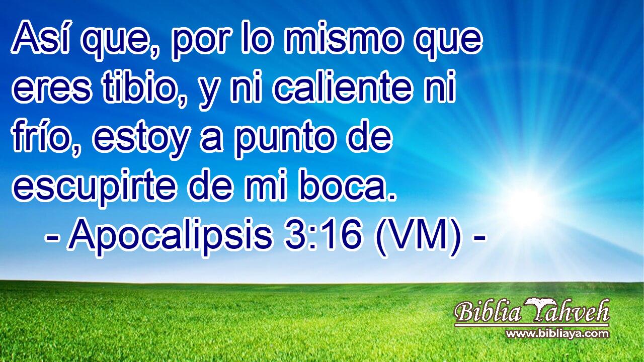  Así que, por lo mismo que eres tibio, y ni caliente ni frío, estoy a punto de escupirte de mi boca. 