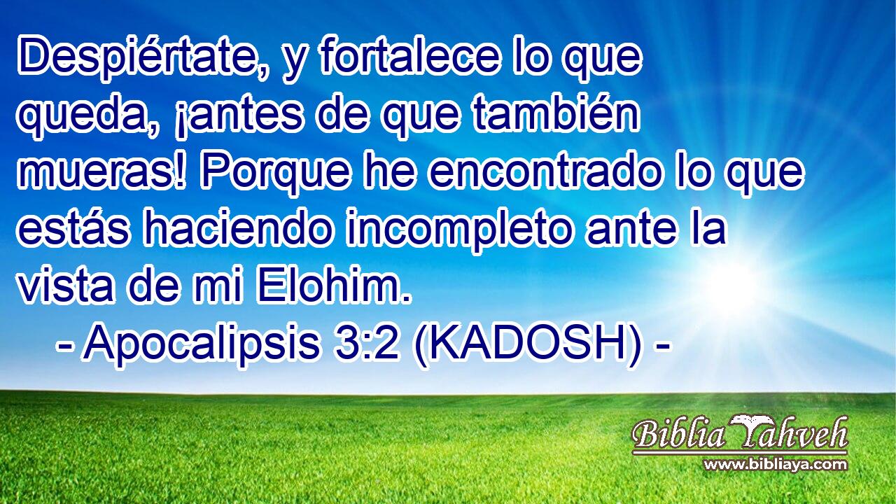  Despiértate, y fortalece lo que queda, ¡antes de que también mueras! Porque he encontrado lo que estás haciendo incompleto ante la vista de mi Elohim. 