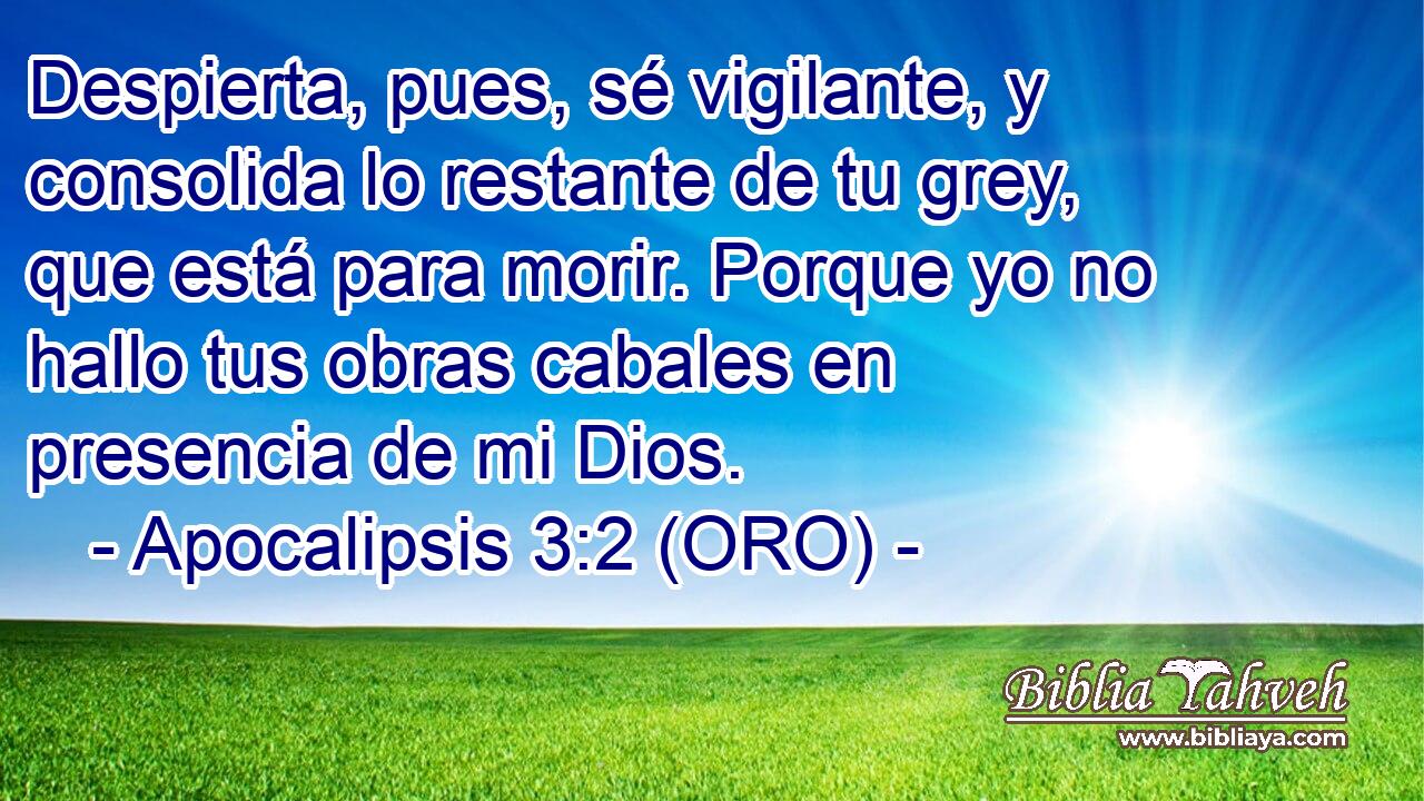  Despierta, pues, sé vigilante, y consolida lo restante de tu grey, que está para morir. Porque yo no hallo tus obras cabales en presencia de mi Dios. 