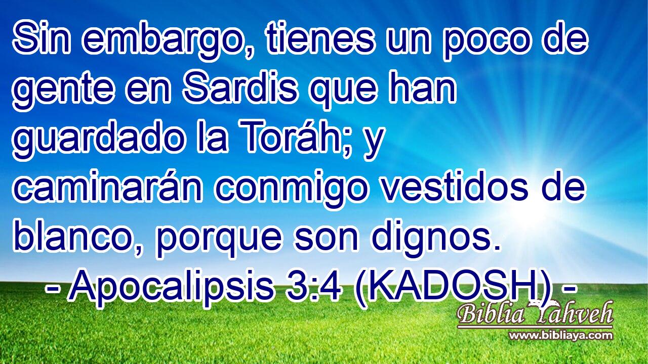  Sin embargo, tienes un poco de gente en Sardis que han guardado la Toráh; y caminarán conmigo vestidos de blanco, porque son dignos. 