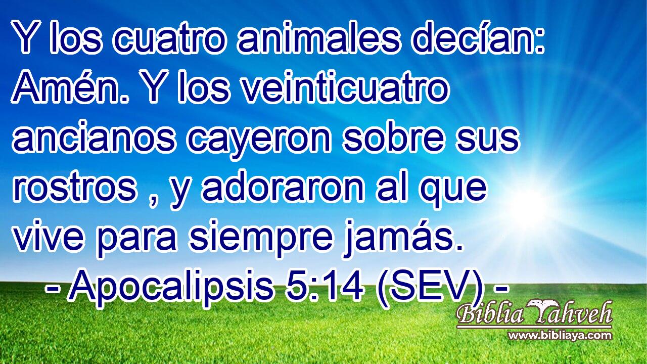Y los cuatro animales decían: Amén. Y los veinticuatro ancianos cayeron sobre sus rostros , y adoraron al que vive para siempre jamás.